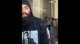 Dogs Hilarious Reaction to Owner Calling Out his Name While Sitting Next to him