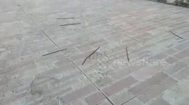 Earthworms emerge from soil as cold weather hits Thailand