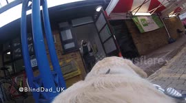Guide Dogs eye view of her owner getting the COVID-19 vaccination
