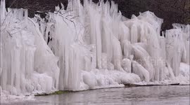A melting icicle hedge in Kent, UK