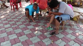 Mynas bird chooses people’s lottery numbers in Thailand