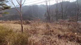 Driving  in a winter nature in Korea
