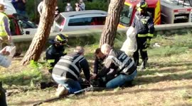 Firefighters dramatically catch cat as it falls from tall tree in Madrid