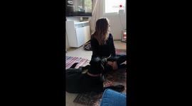 Trying the Dog Challenge on a Cute  Curious Labrador