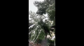 snow in southern part of athens (glyfada) greece