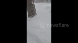 US: Winter Low-Pressure System Dumps Heavy Snow In Chicago Area
