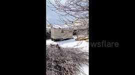 Strong winter storm downs trees in Kentucky