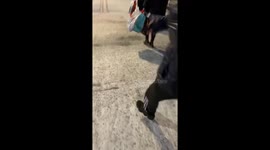Epic slide FAIL