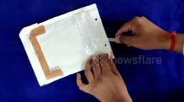 Customs officials seize drugs worth $9,050 in southern India