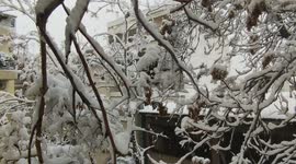 Greece: Snow Blankets Greater Athens Region 7
