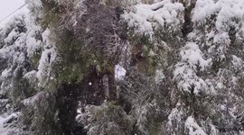 Greece: Snow Blankets Greater Athens Region 14