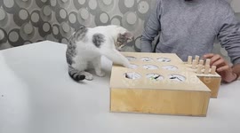 Here's how you can make your own DIY whack-a-mole from wood