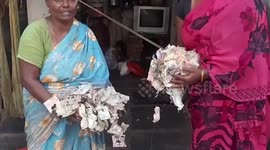Indian family loses life savings when TERMITES eat over $6,000 of cash in safe