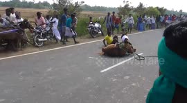 Horses clashed with each other during a horse race in South India.