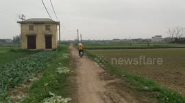Vietnam Tet holiday 4