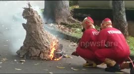 Firefighters burn wasp nest that fell on highway in Indonesia