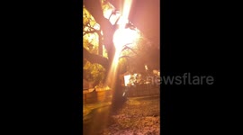 Powerline in Louisiana explodes after contact with frozen tree