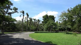 Hidden green paradise in Bangkok’s polluted concrete jungle