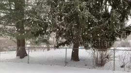 Snow on Long Island