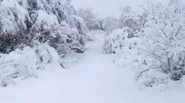 US: Another Winter Storm With Heavy Snow Strikes Southern Texas