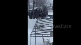 US: Major Winter Storm Continues To Bring Significant Impacts To The Northeast 2