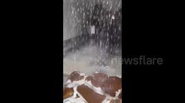 US: Burst Water Pipes Flood Home In Texas 4