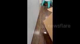 US: Burst Water Pipes Flood Home In Texas 5