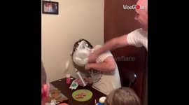 Dad does Invisible Firework Prank on Son