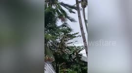 Tropical storm Auring moves towards the Philippines bringing choppy seas and strong winds