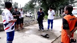 Alligator snapping turtle saved after getting fishing hook jammed in mouth