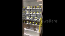 US: Empty Supermarket Shelves In Texas After Winter Storm 3