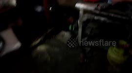Evacuation of pythons entered into public stalls in Kemayoran, Central Jakarta