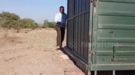 Sanctuary being prepared for wildlife in central India