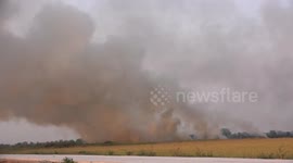 Firefighters tackle bushfire near a paddy field in Thailand.
