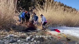 US family work together to rescue helpless horse trapped in frozen lake