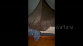 Texas family makes blanket cocoon on bed to combat snowstorm and power outage