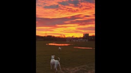 Sunrise with amazing scenery