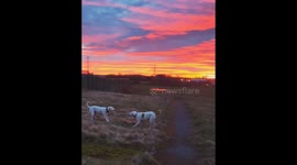 Sunrise