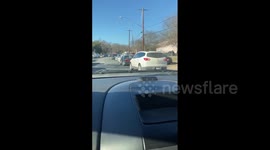 Huge line forms outside of Austin distribution center as Texans scramble for supplies