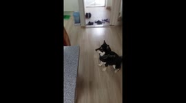 mom and a puppy