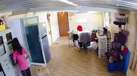 Curious cat jumps in cupboard but gets locked inside when owner unknowingly closes door