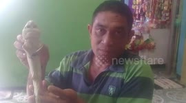 Fisherman who found baby shark with human eyes talks about the bizarre discovery