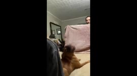 Best reaction to 'What The Fluff' challenge