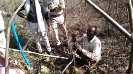Forest officials apprehend poachers in central India