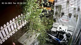 Cheeky stray dog caught on CCTV stealing restaurant sign