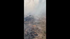 Yuha Fire Imperial County California