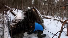 Norwegian man transforms fallen tree into woodland shelter