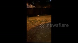 US: Thunderstorm Brings Marble-Sized Hail To Dallas-Fort Worth Metro Area 4