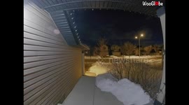 Meteor Sighting in Calgary, Alberta