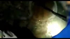 West Jakarta Fire Brigade Team Indonesia Evacuate Python Python Batik In Sewers